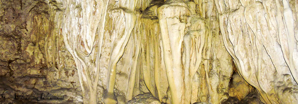 Limestone Cave - Baratang